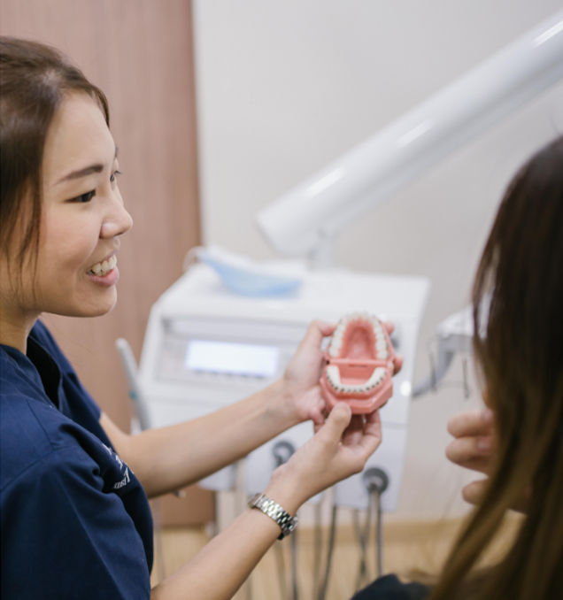 Dentist shows model of jaw to patient.